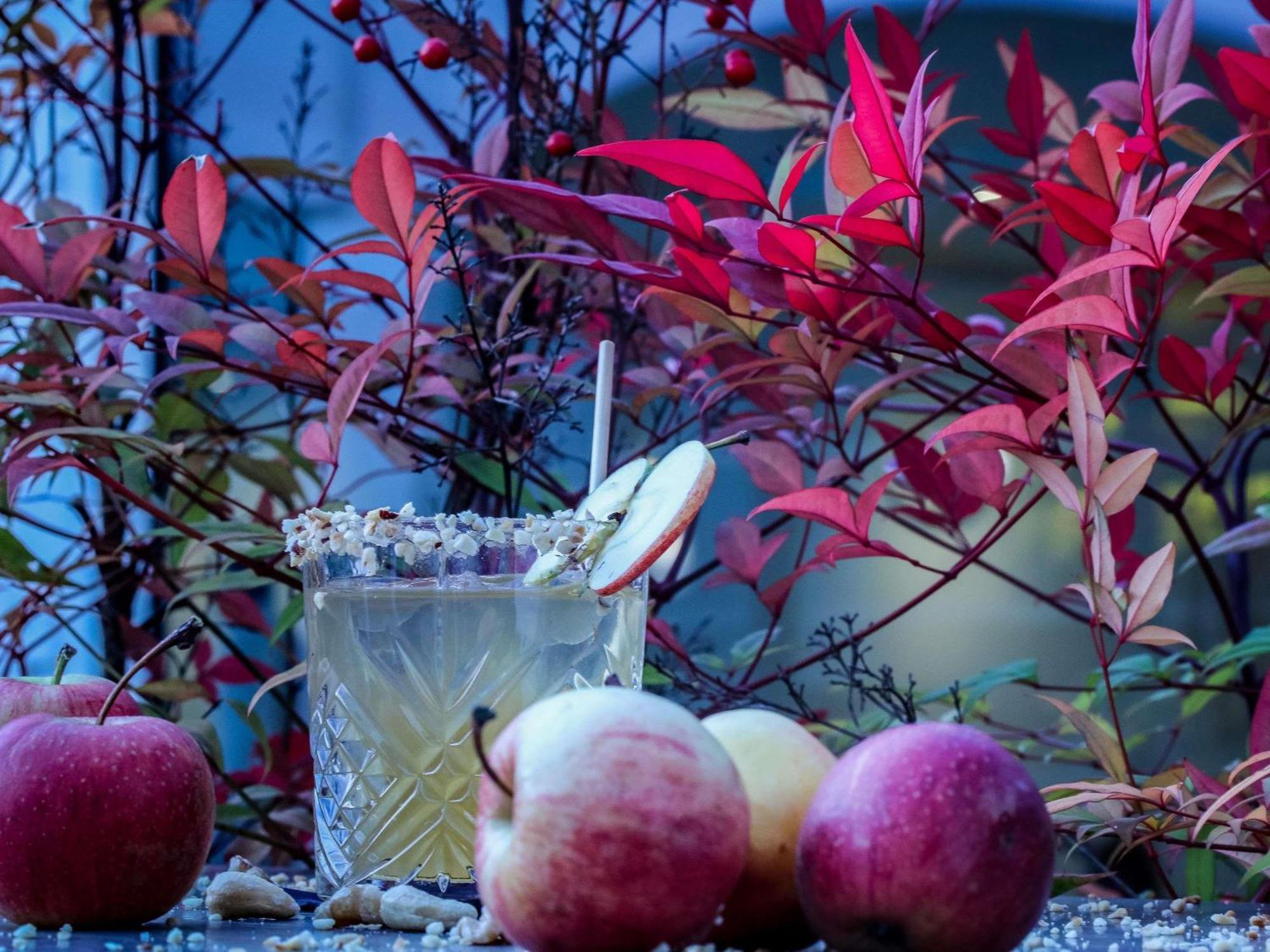 Mercure Aix-Les-Bains Domaine De Marlioz Hotel & Spa Eksteriør bilde
